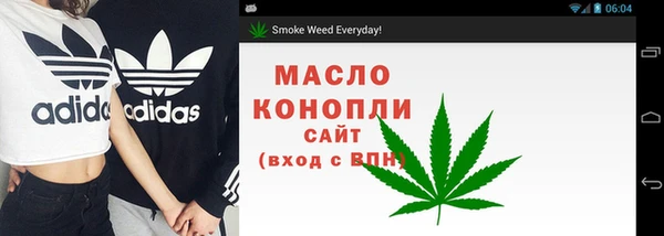 сатива Балахна