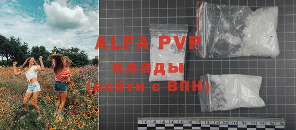 сатива Балахна