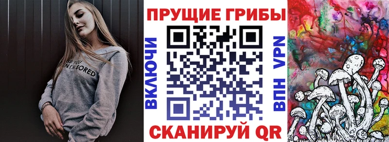Галлюциногенные грибы Psilocybine cubensis  продажа наркотиков  Спасск-Дальний 